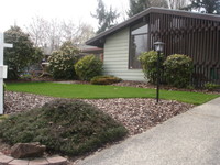 Landscaped front yard