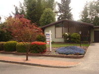 Tree lined street