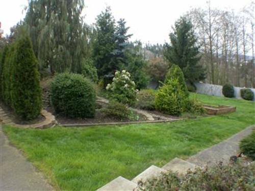 Yard Gently sloping to back fence