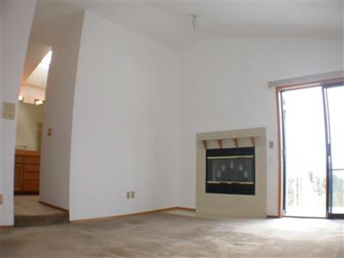 Master bedroom with fireplace